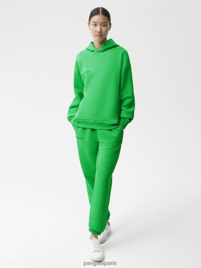 Vert Jade Pangaia vêtements femmes DH84F021 sweat à capuche signature